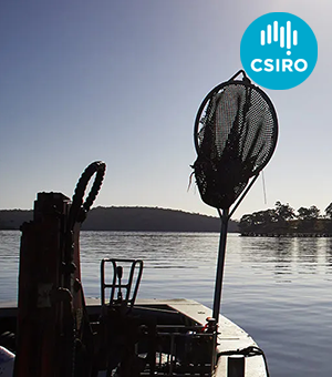 Portfolio-Level Assessments